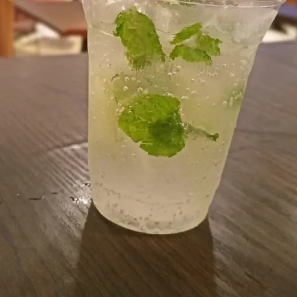 Llimonada amb fulles de menta i gel