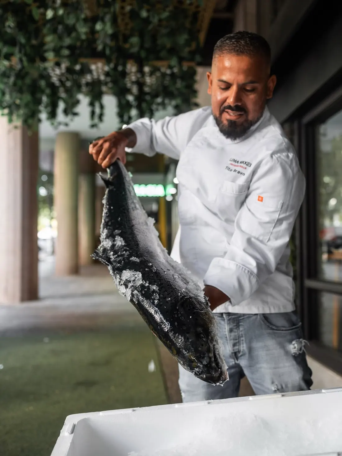 Un cocinero de Lima Nikkei sujeta un pescado entero recién sacado del hielo