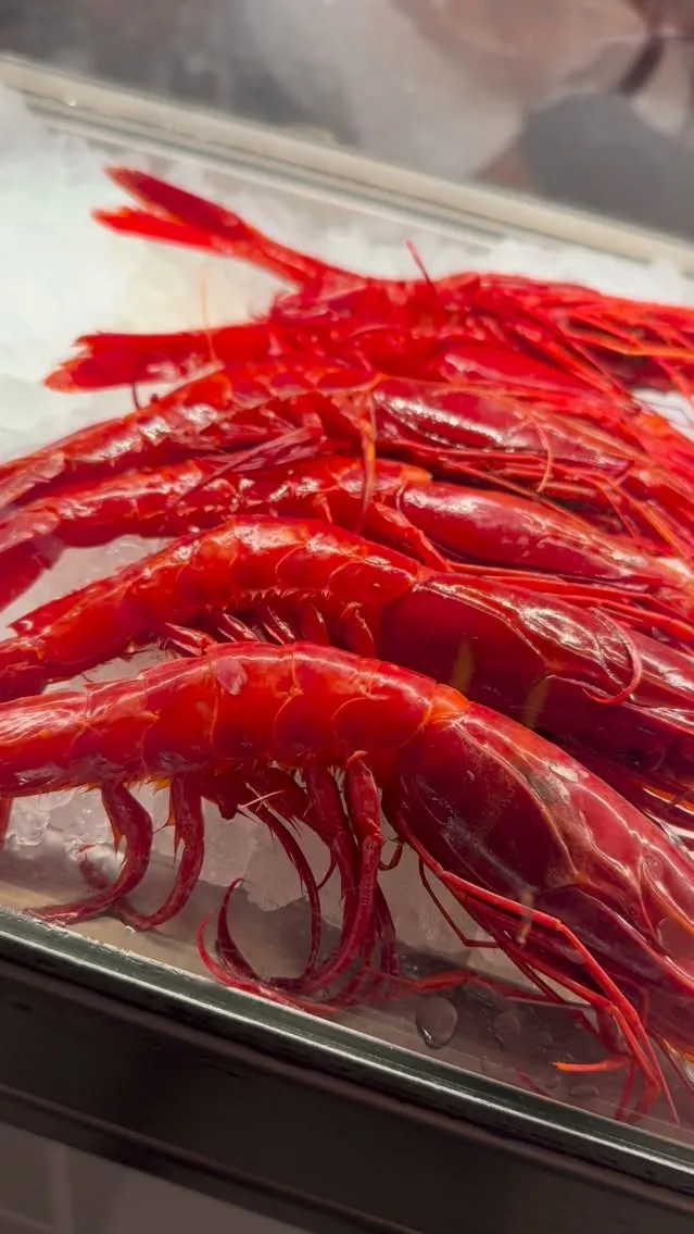 Gambas rojas sobre hielo en la vitrina